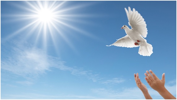 Los ‘pecadillos’ de la liberalización del mercado eléctrico