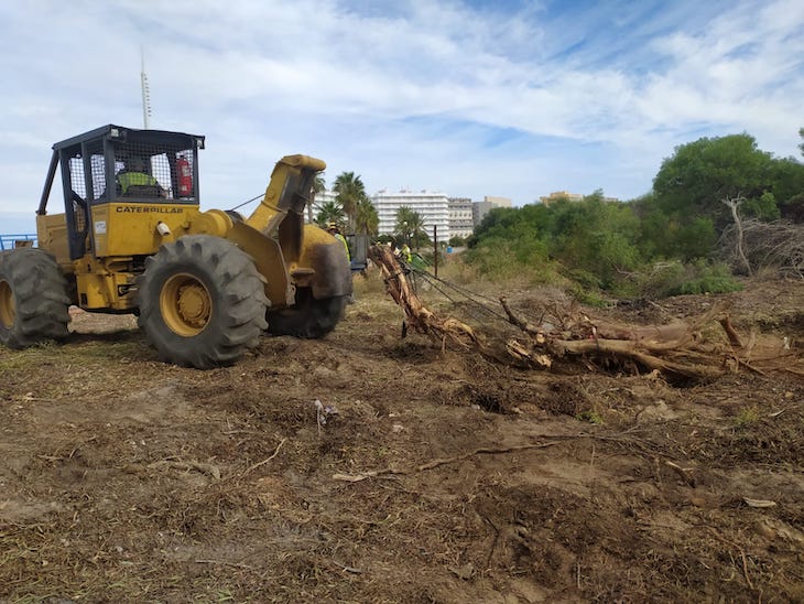 Recuperando la Caleta del Estacio en La Manga del Mar Menor