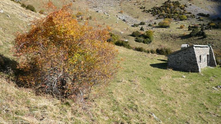 Encuentro sobre restauración ambiental de zonas de alta montaña