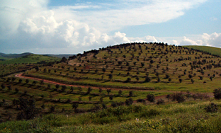 Actualizada la cartografía del Catálogo de Montes Públicos de Andalucía