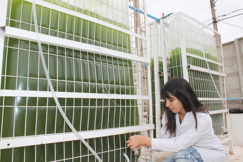 Las ‘biorrefinerías alternativa sostenible al petróleo