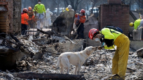 California: Hay al menos 41 muertos por los incendios forestales