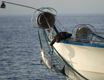 OCEANA filma pesca ilegal con redes de deriva mientras Italia lo niega ante la UE