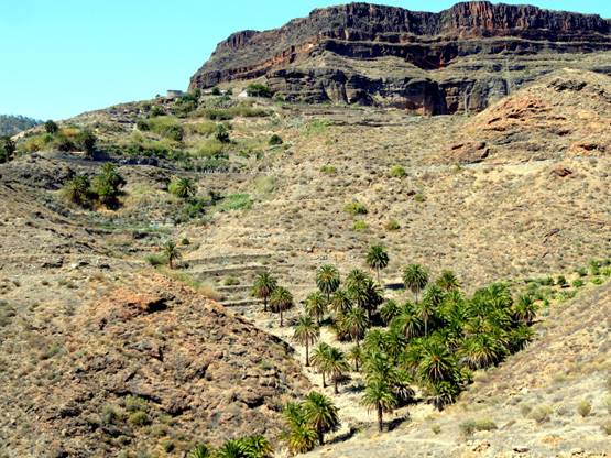 Ecosistemas canarios
