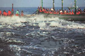 El Centro de Interpretación del Atún de Almadraba ha recibido 10.000 visitas desde abril