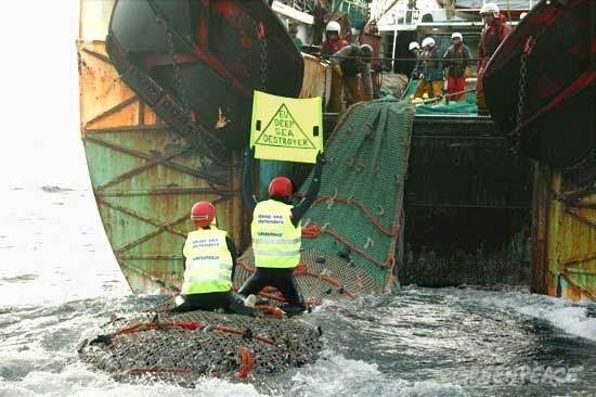 Las profundidades marinas necesitan protección urgente
