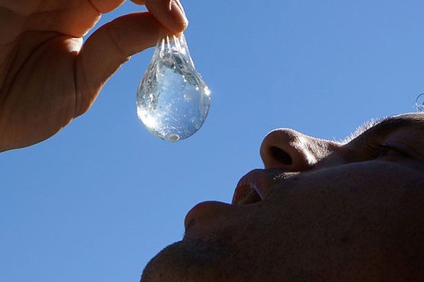 Innovador envase comestible que puede salvar al Medio Ambiente