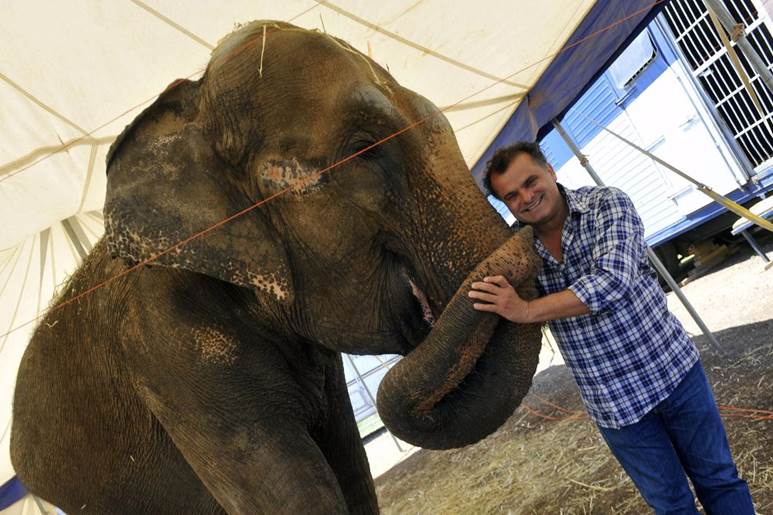 Circus Kaos y el maltrato animal