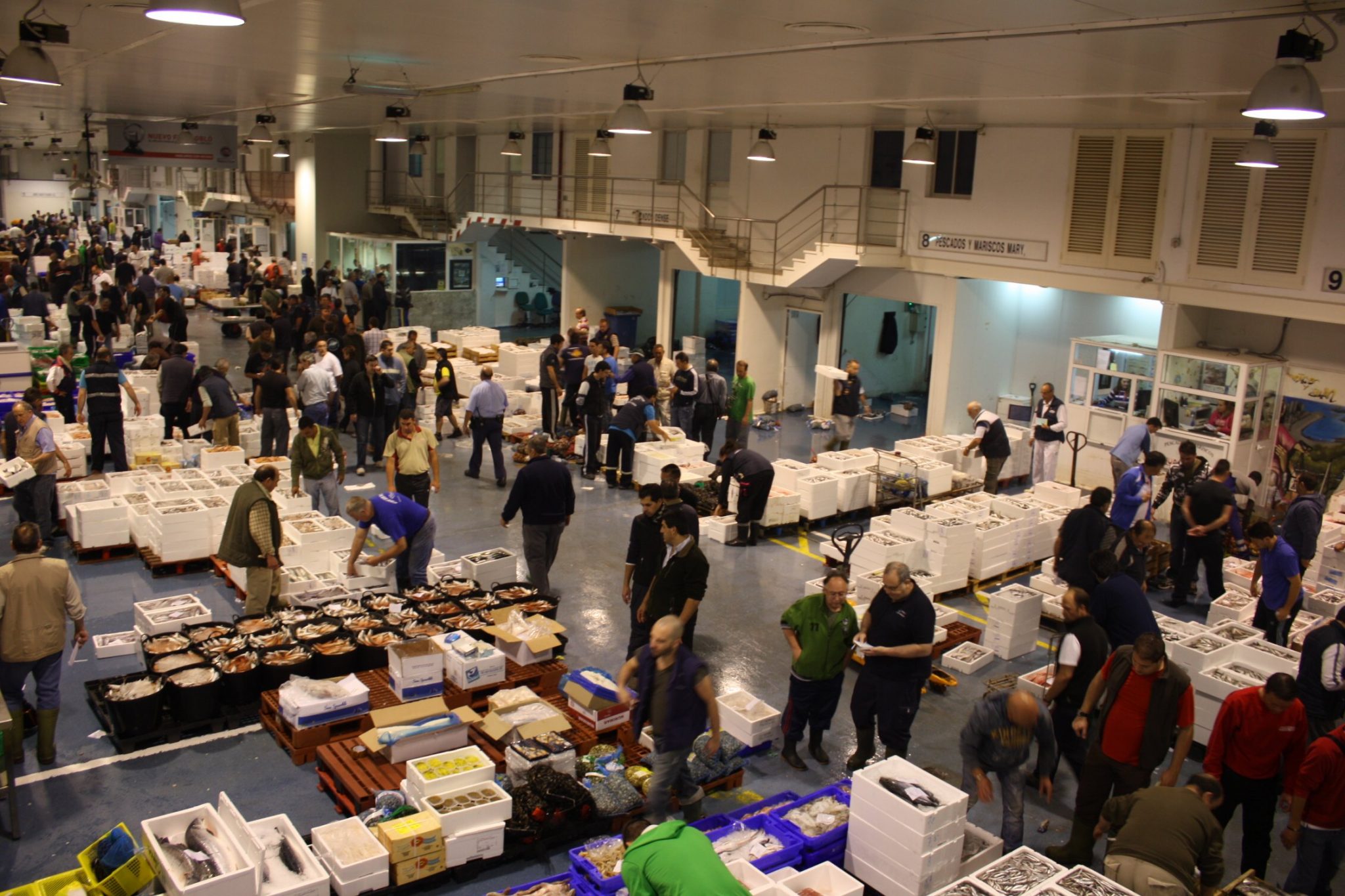 Mercamálaga recicla 237 toneladas de restos de pescado en tan solo un año