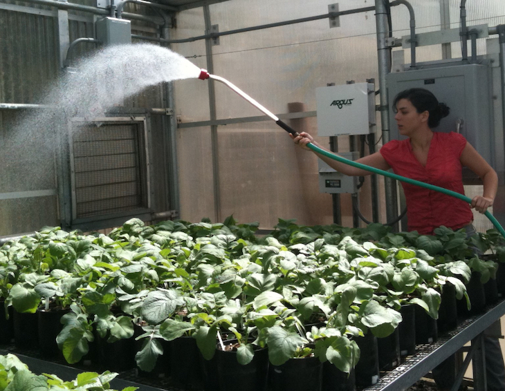 Darwin cada vez tiene más razón