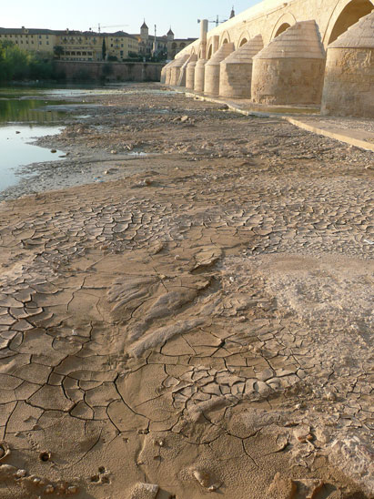 El PP suspende en materia medioambiental