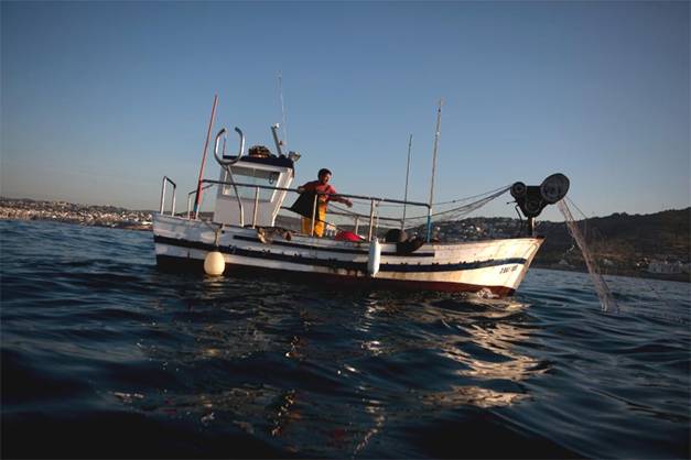 Greenpeace pide al Ejecutivo central y canario apostar por la pesca artesanal