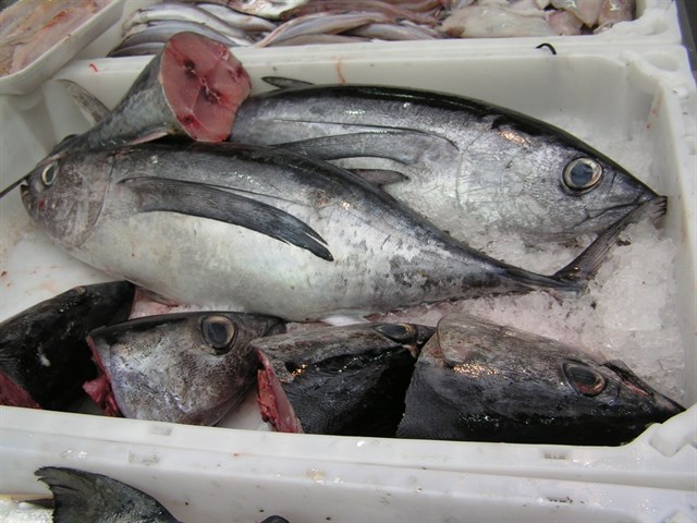 España termina mañana su propio pescado y el resto del año dependerá del exterior