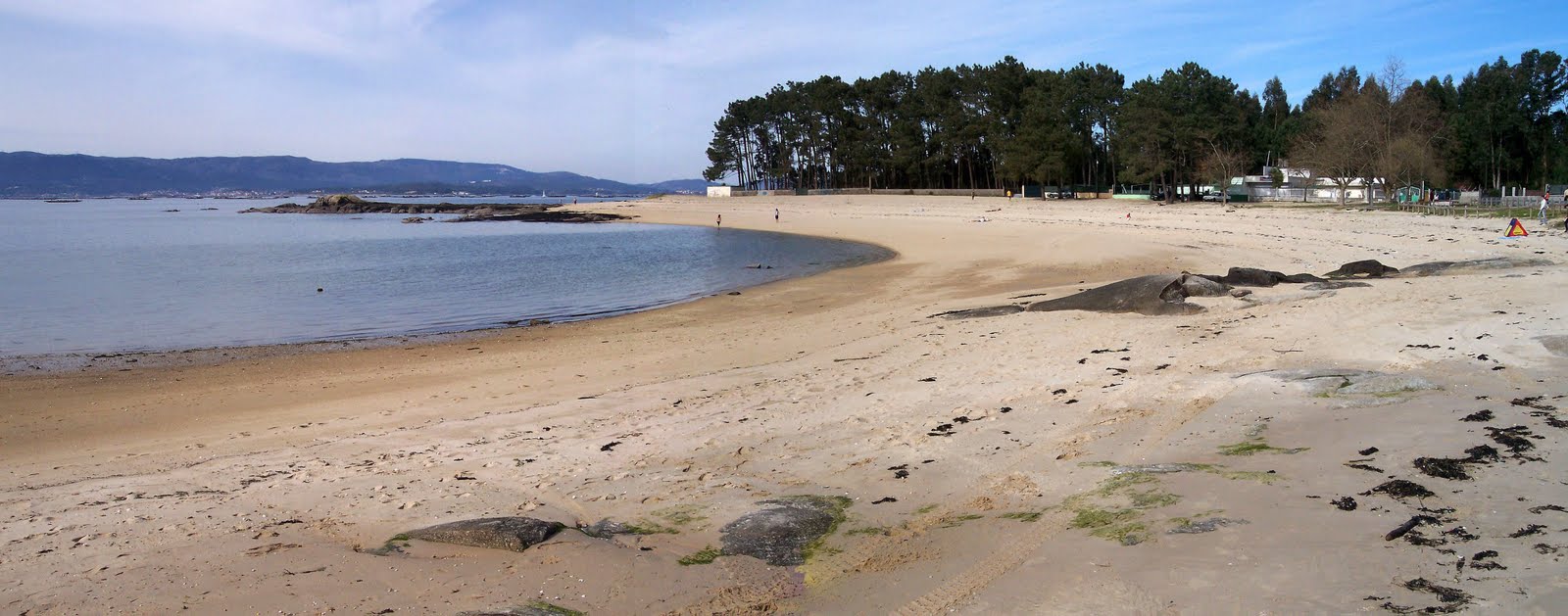 Andalucía. Junta prohíbe la captura y comercialización de todas las especies en la Barra del Terrón por la presencia de DSP