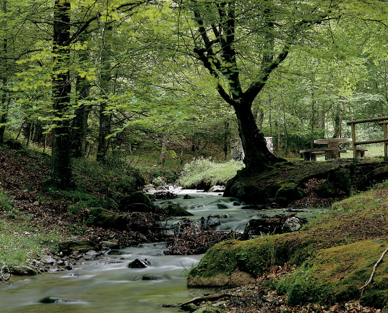 Turismo restaurará las dehesas de los municipios de la Reserva de la Biosfera
