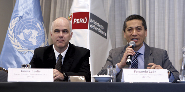 Perú. El Gobierno apuesta por el desarrollo sostenible para enfrentar la deforestación en la Amazonía