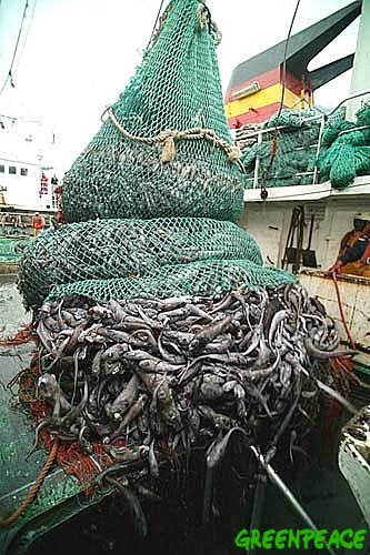 Naciones Unidas demanda una mayor protección en aguas internacionales