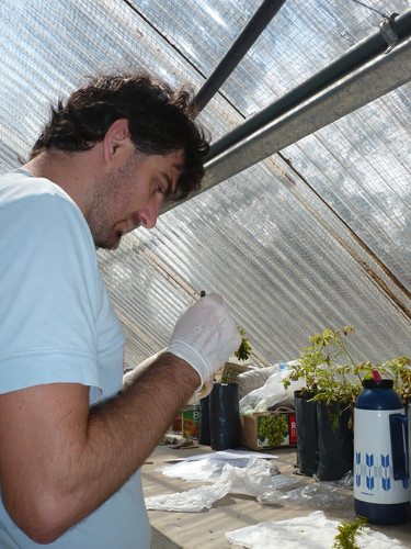 Experimentan en Argentina con plantas acuáticas para atrapar sustancias tóxicas provenientes de desechos industriales