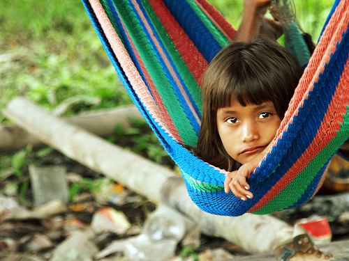 Acuerdan 18 áreas de conservación preferencial en el río Orinoco