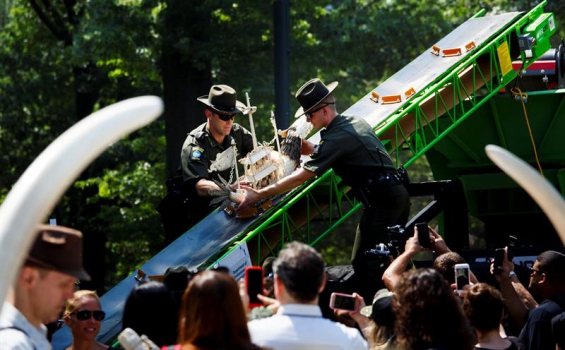 Nueva York pulverizó alrededor de dos toneladas de marfil