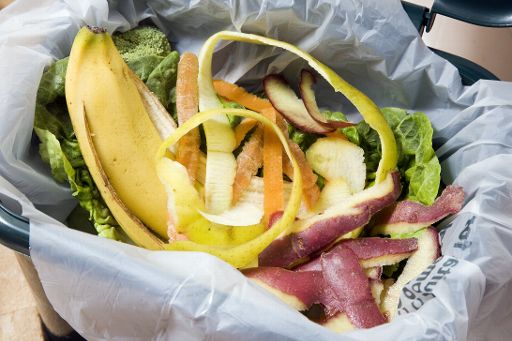 Qué hacer con los desechos biodegradables