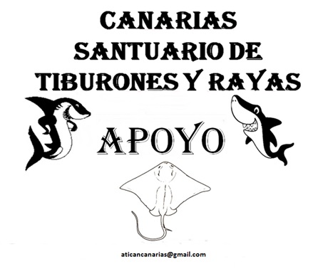 Campaña Internacional para lograr que Canarias sea un Santuario de Tiburones y Rayas