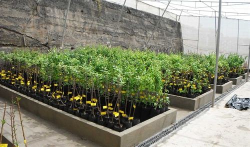 Islas Canarias. El Cabildo de La Gomera habilitará el vivero de la Cruz Chiquita para la formación del sector primario