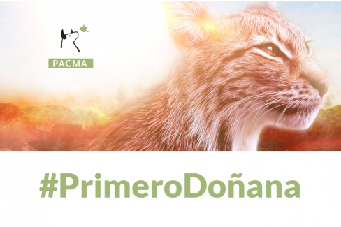 Por la reforestación de Doñana