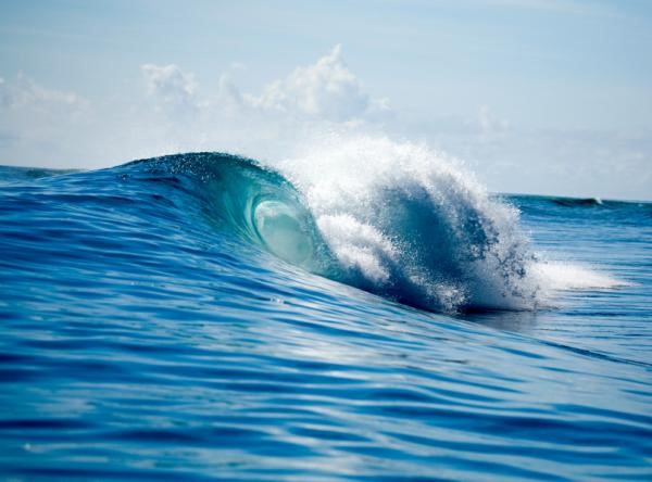 Día Mundial de los océanos - La información es vital para su preservación