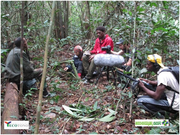 Un documental para descubrir los secretos de la selva de África Central