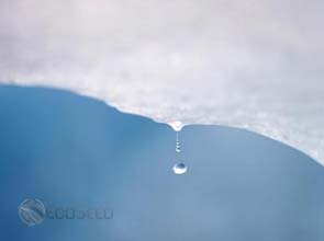 U.N. climate panel urged to reform