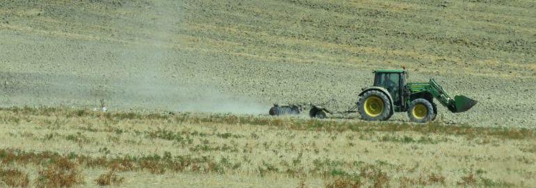 Castilla-La Mancha. Asaja recurre ante el TSJCM el Plan de Gestión de las zonas ZEPA
