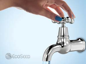 Saving Water: What you need to know