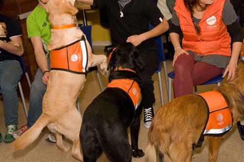 Una ‘estupenda’ idea