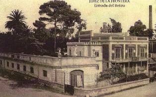 Jerez de La Frontera deja morir un árbol singular por ‘dejadez’