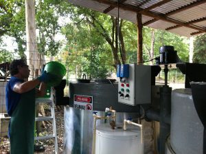 Grasa de 30 restaurantes se transforma en energía