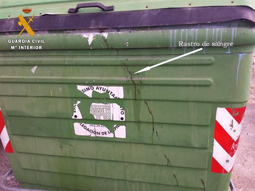 Mérida. Un ‘delincuente’ mata y tira dos perros a un contenedor