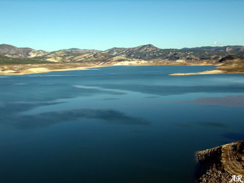 La Junta pondrá en marcha mecanismos para eliminar el siluro del embalse de Iznájar