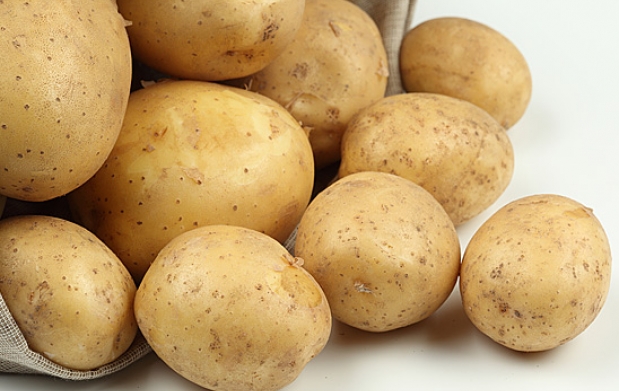 Exigen la comparecencia de Tejerina para informar de las medidas para frenar la plaga de la patata en Galicia