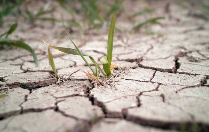 El ‘Juicio por el Clima’ continua gracias al TS