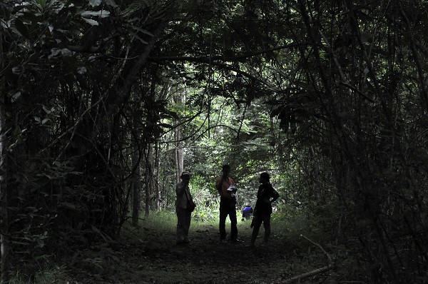 Entregan certificación a bosque natural en Panamá