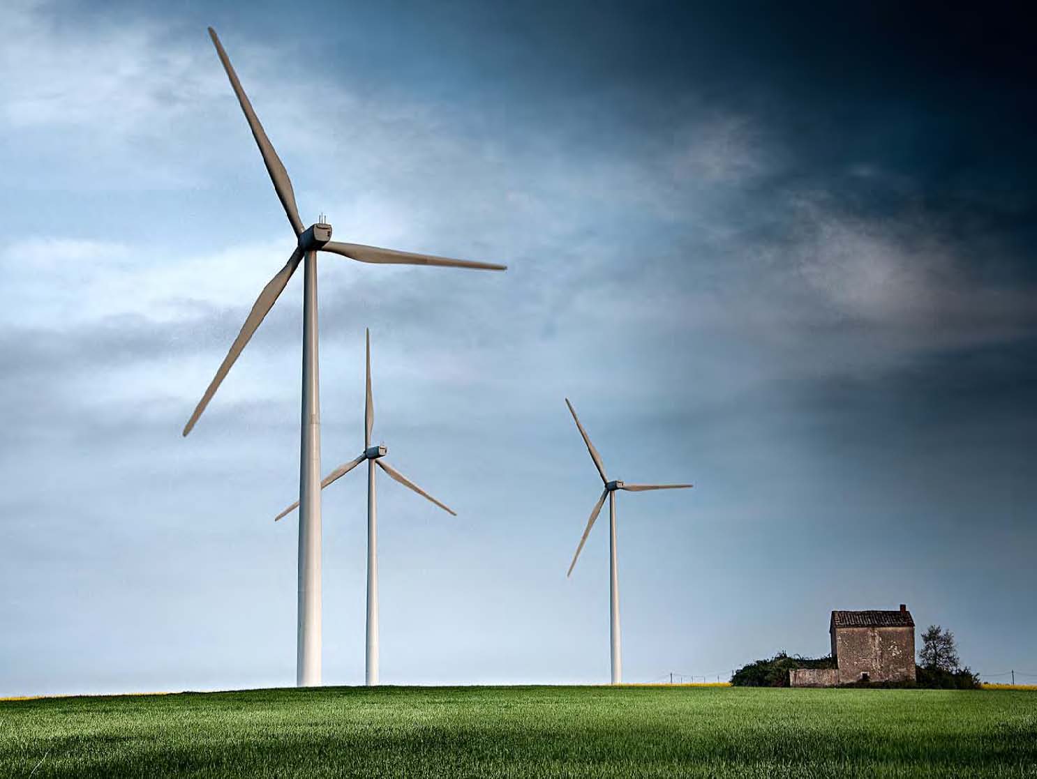 AEE falla sus premios anuales de Fotografía e Innovación