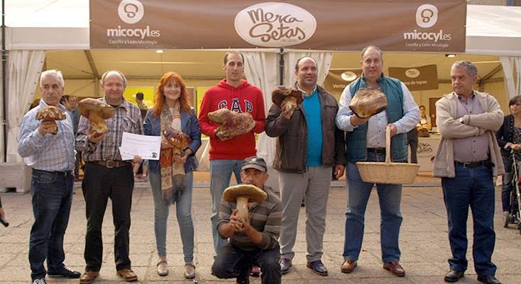 Mercasetas de Soria vuelve a la capital para participar de un intenso programa de actividades en torno a la micología