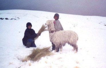 Peru. Lanzan campaña "Reciclar para abrigar" para afectados por el friaje
