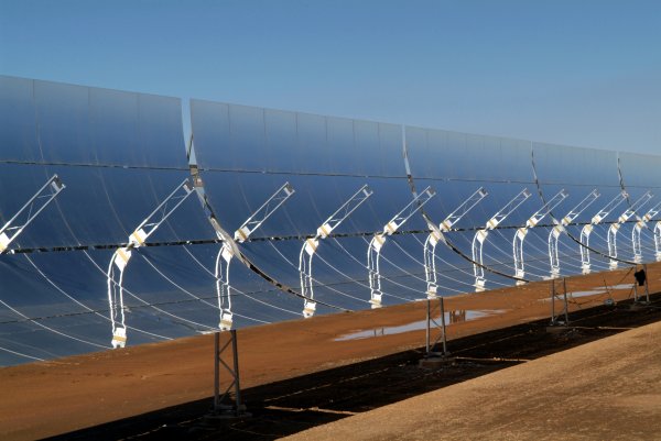 Las empresas de energías renovables de Alemania aseguran que podrán ocupar el puesto de la nuclear en 2020