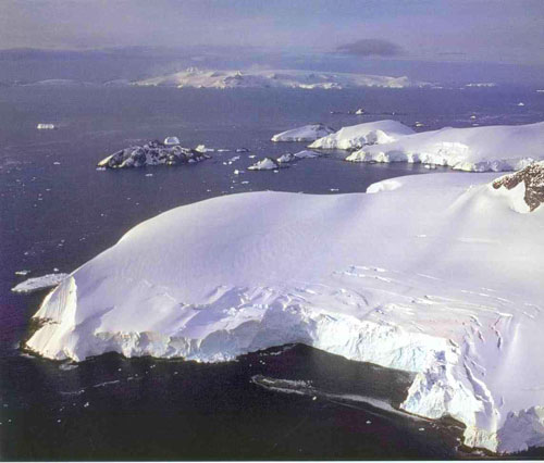 Fiscalía australiana pide a Japón que libere a los 3 activistas detenidos