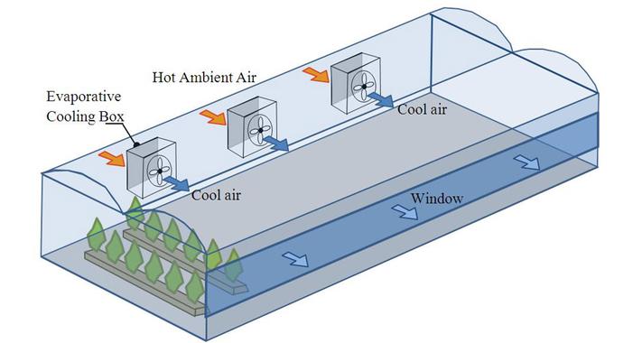 La eficiencia energética de los invernaderos aumenta con un sistema de refrigeración de edificios