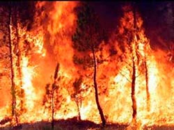 Sevilla. La Junta suspende las quemas agrícolas y forestales en la provincia para prevenir incendios