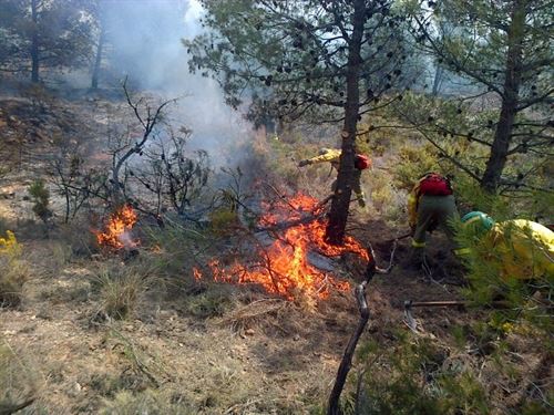 15.000 hectáreas quemadas y 182 detenidos por los incendios forestales en lo que va de año