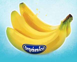 Buscan estimular producción y consumo de productos orgánicos